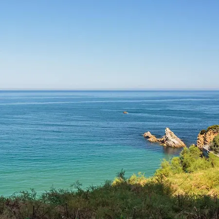 Au Coeur De - Fr-1-3-640 Appartamento Biarritz